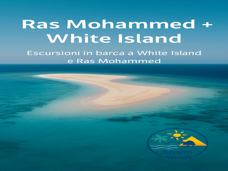Ras Mohammed e Isola che non c’è – Escursione in Barca da Sharm