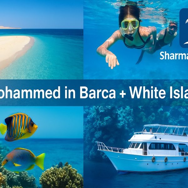 Ras Mohammed e Isola che non c’è – Escursione in Barca da Sharm