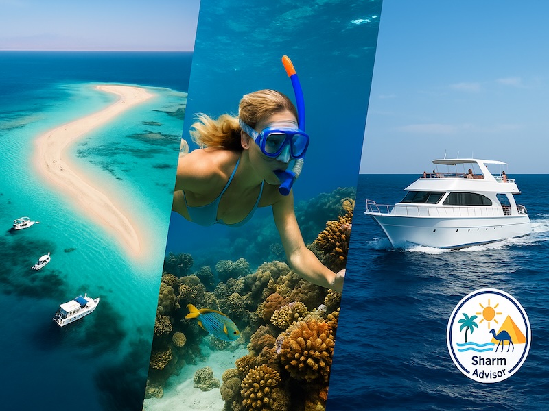 Isola che non c’è Sharm El Sheikh snorkeling e immersioni nel Mar Rosso