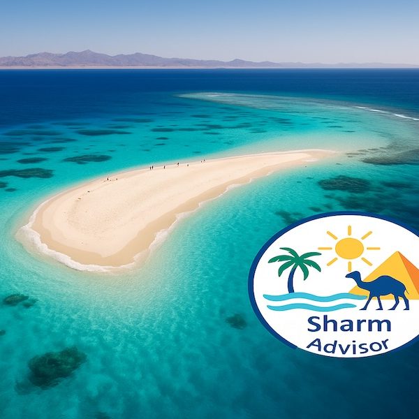 Ras Mohammed e Isola che non c’è – Escursione in Barca da Sharm