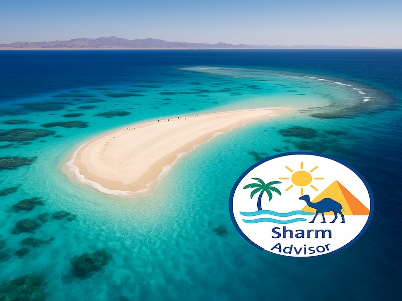 Ras Mohammed e Isola che non c’è – Escursione in Barca da Sharm