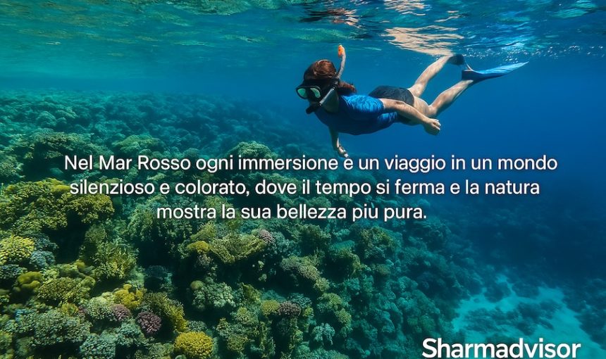 Snorkeling e Immersioni nel Mar Rosso: I Migliori Spot a Sharm El Sheikh