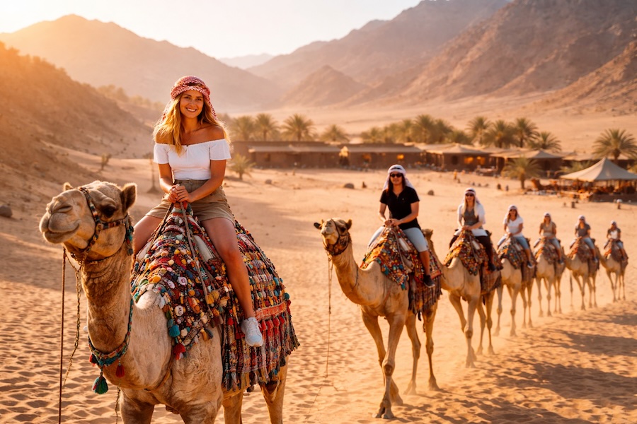 Tour in cammello nel deserto di Sharm El Sheikh al tramonto