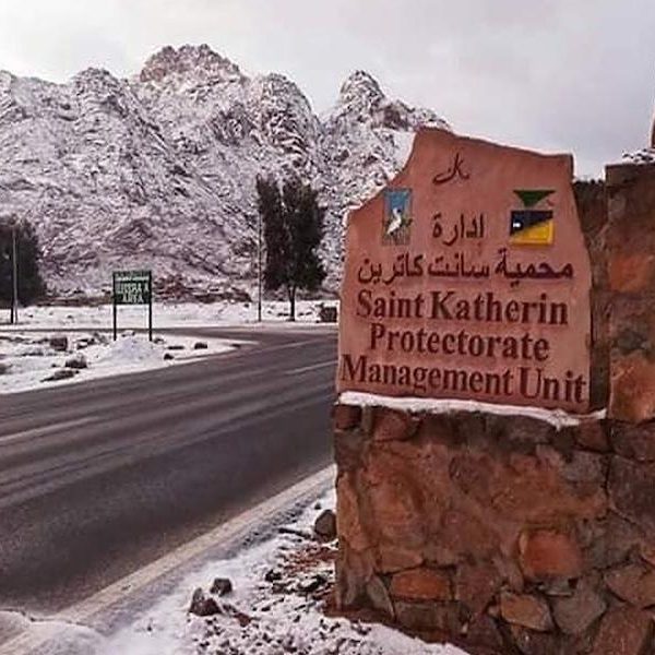Monastero di Santa Caterina, Monte Sinai all’alba e panorama di Dahab – escursione da Sharm El Sheikh.