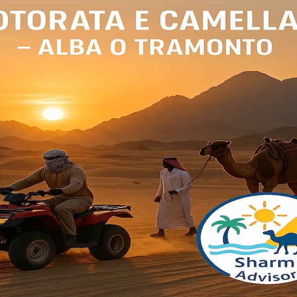 Motorata e Cammellata nel deserto del Sinai all’alba o al tramonto