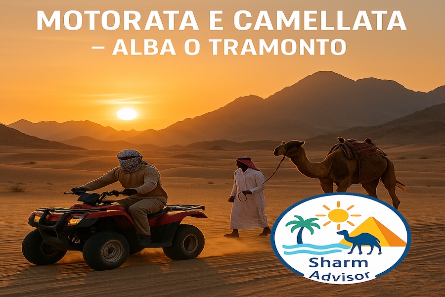 Motorata e Cammellata nel deserto del Sinai all’alba o al tramonto