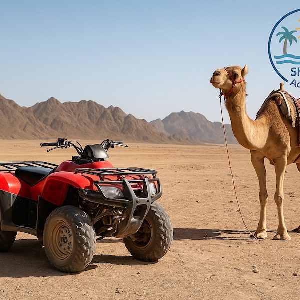 Safari Quad nel Deserto di Sharm El Sheikh tra montagne e panorami desertici