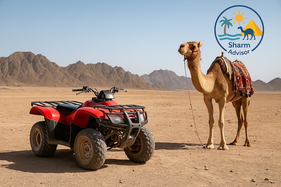 Safari Quad nel Deserto di Sharm El Sheikh tra montagne e panorami desertici