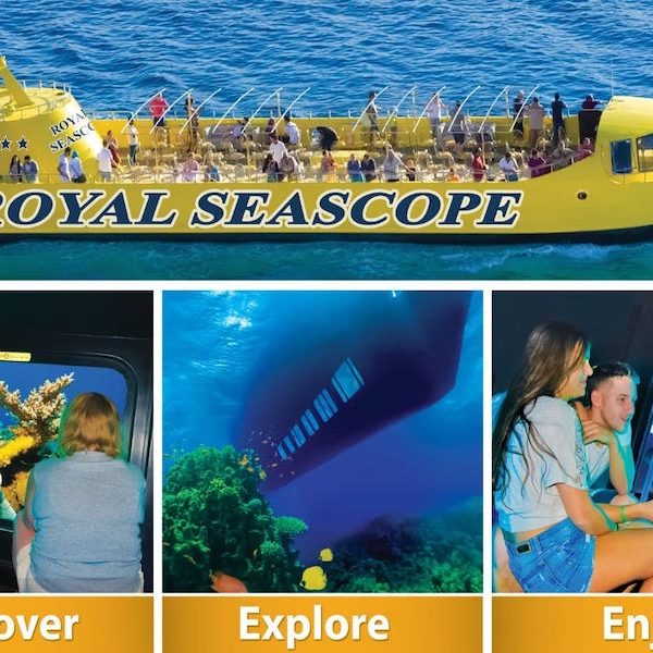 Royal Submarine Sharm El Sheikh – vista dei coralli e dei pesci tropicali attraverso le finestre panoramiche.