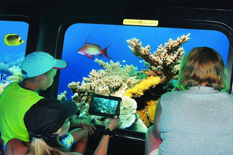 Royal Submarine Sharm El Sheikh – vista dei coralli e dei pesci tropicali attraverso le finestre panoramiche.