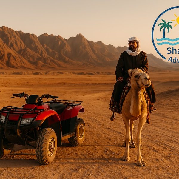 super safari motorata camellata cena beduina nel deserto al tramonto