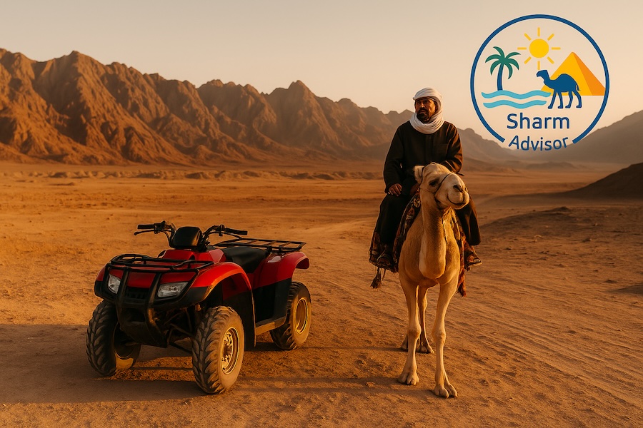 super safari motorata camellata cena beduina nel deserto al tramonto