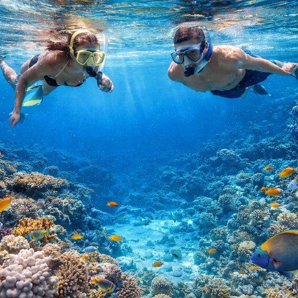 snorkeling a Sharm El Sheikh nel Mar Rosso con barriera corallina e pesci tropicali