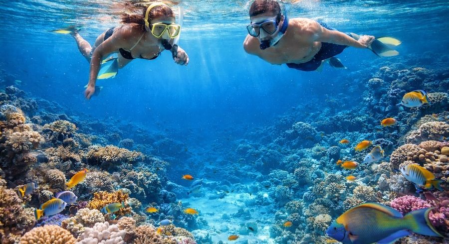 snorkeling a Sharm El Sheikh nel Mar Rosso con barriera corallina e pesci tropicali