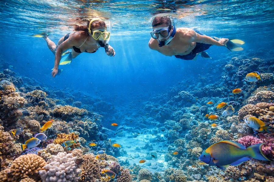 snorkeling a Sharm El Sheikh nel Mar Rosso con barriera corallina e pesci tropicali